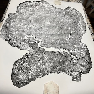 Big Leaf Maple, Tree Ring Print, Massachusetts Art, Oversized Tree Ring ...