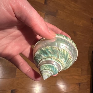 Ashley added a photo of their purchase