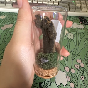 Clover added a photo of their purchase