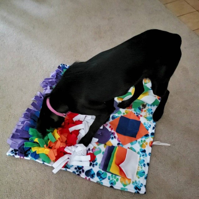 SALE 27 X 27 Magicprincesswhitney Snuffle Pet Mat for Dogs Gift Birthday  Enrichment Activity Treats Toys Beds Rainbow USA Star Wars Beach 