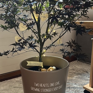 Melanie added a photo of their purchase