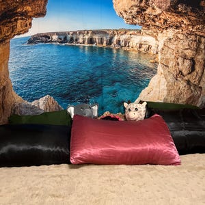 Natalie added a photo of their purchase