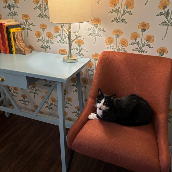 Vintage Marigold Wallpaper, Retro Floral Peel and Stick Wall Mural ...