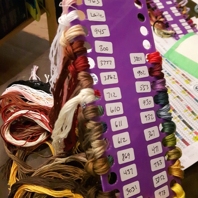 LO RAN Embroidery Floss Organizer Fill w/ Floss 3 Ring Binder