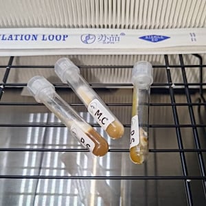 Patrick added a photo of their purchase