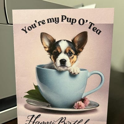 Printable Happy Birthday Card for Pickle Ball Friend, Humorous Birthday