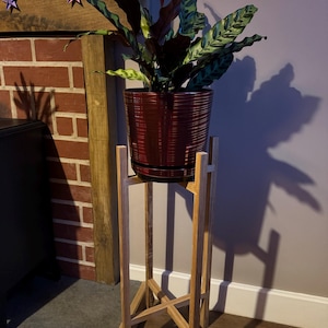 Penny added a photo of their purchase