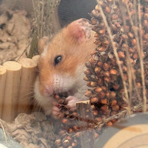 Bonnie added a photo of their purchase