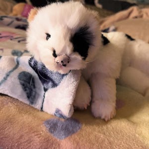 Timothy added a photo of their purchase