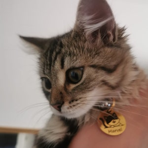 Lina heeft een foto van de aankoop toegevoegd