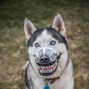 zombie muzzle