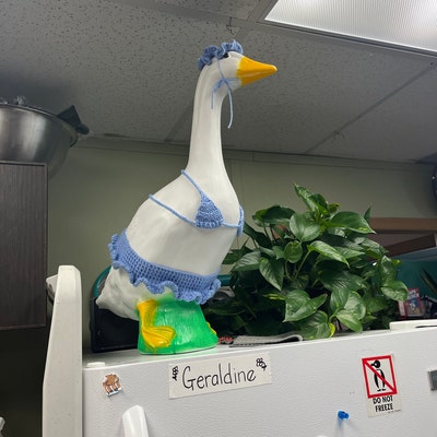 Porch Goose Bikini Set pattern - Etsy