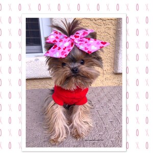 Ashley added a photo of their purchase