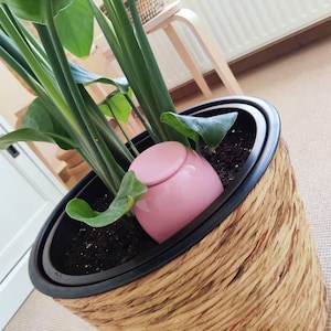 Sandy added a photo of their purchase