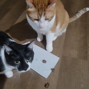 Sophie added a photo of their purchase
