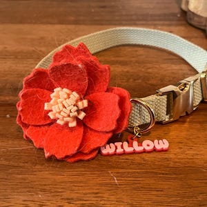 V. added a photo of their purchase