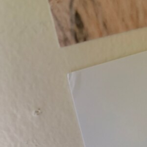 Melanie ha aggiunto una foto del proprio acquisto