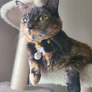 Adjustable Breakaway Leather Cat Collar With Bell Kitten - Etsy