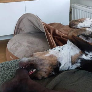 Nvtnl added a photo of their purchase