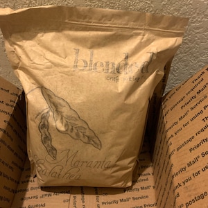 Erika added a photo of their purchase