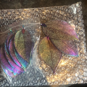 Bethany added a photo of their purchase
