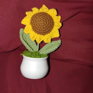 Betsy added a photo of their purchase