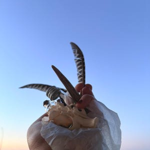 Gudrun ha añadido una foto de su compra