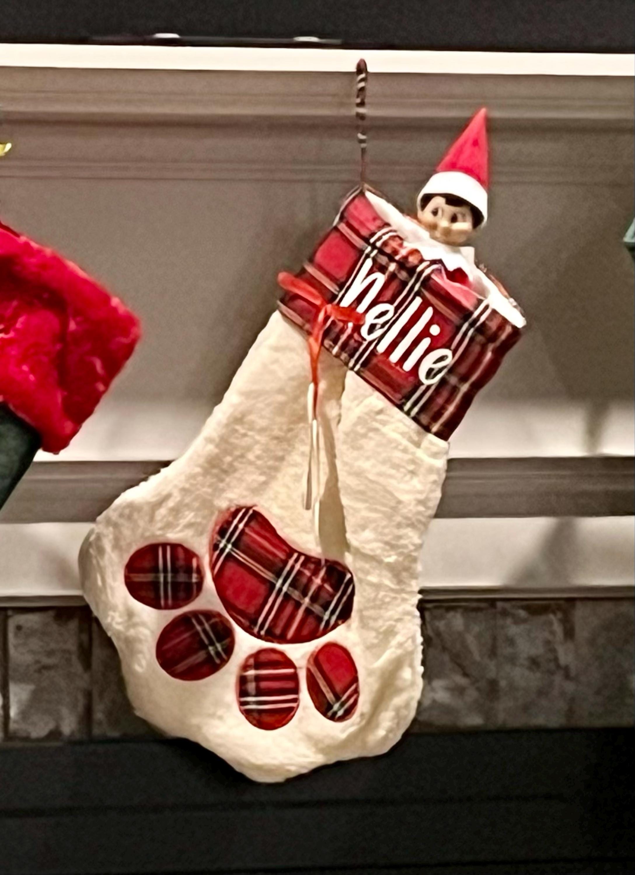 Personalized pet stocking, Blank pet stocking, Christmas stocking, Dog stocking, Cat stocking, Christmas gift, personalized stockings, plaid