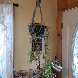 Cecilia added a photo of their purchase