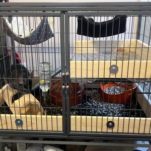 Darily added a photo of their purchase