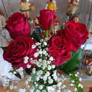 Anita added a photo of their purchase