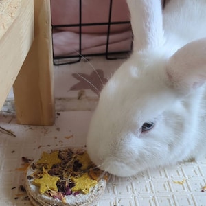 Oswin added a photo of their purchase