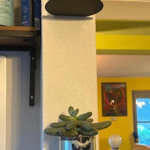 Giorgio added a photo of their purchase
