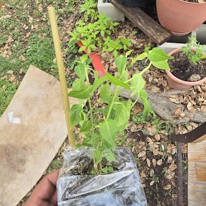 erik added a photo of their purchase