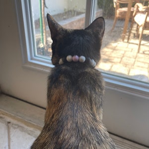 Laurie added a photo of their purchase