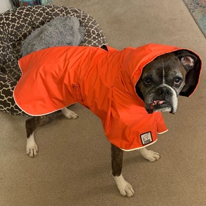 boxer dog raincoat