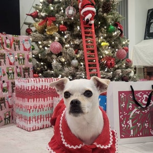 Alice added a photo of their purchase