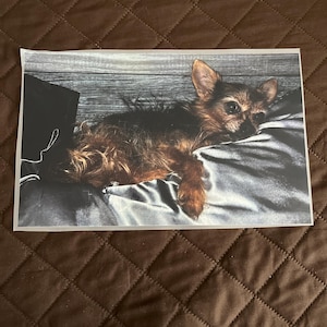 michele added a photo of their purchase
