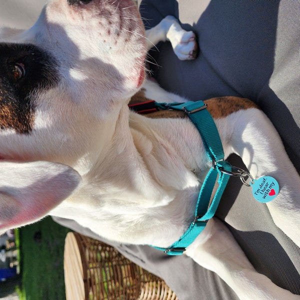 I'm Lost Dog Tag, Double-sided Pet ID Badge, Choose Your Color, Unique ...