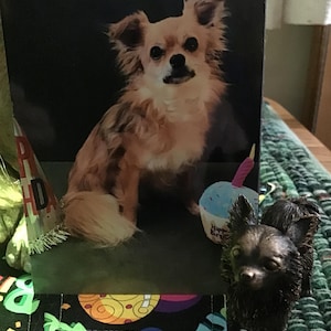 janet ha aggiunto una foto del proprio acquisto