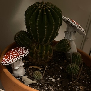 Emily added a photo of their purchase