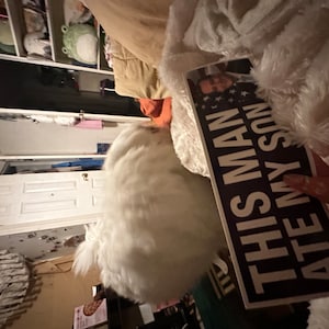 amanda added a photo of their purchase