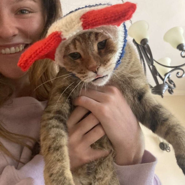 Cat-Hair Hats for Cats: Craft Fetching Headwear for Your Feline