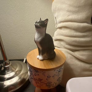 Aria a ajouté une photo de son achat