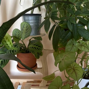 Comprador Etsy adicionaram uma foto da sua compra
