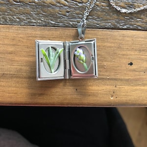 Shannon added a photo of their purchase