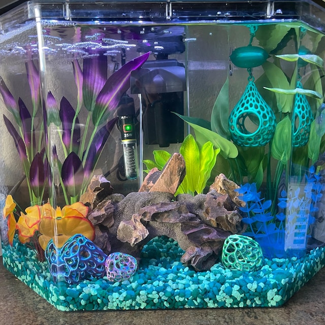Aquarium Ornaments for Fry Tanks: Boost Growth & Safety Tips
