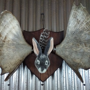 Bigben added a photo of their purchase