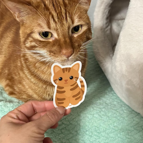 Orange Tabby Cat Vinyl Sticker for Water Bottle and Laptop, Cute Kitten ...