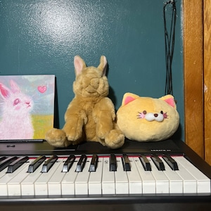 Raul added a photo of their purchase